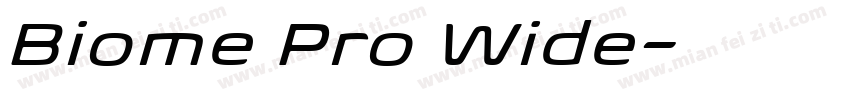 Biome Pro Wide字体转换